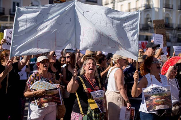 Demonstration over the fires in Madrid - 27 Jul 2026 Protesters hold a banner during a demonstration at the Puerta del Sol in central Madrid. People from the Tietar Valley, Avila, in the Castile and Leon region, held a protest against the handling of the wildfires affecting dozens of municipalities in the area and the neglect of the land. Madrid Spain Copyright: xLuisxSotox xSOPAxImagesx LSOTOMPT05