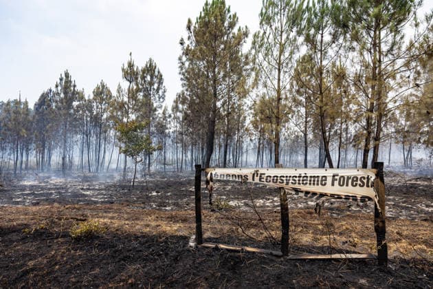 Burned Properties After The Gironde Wildfires - Lege Burned residential properties are seen after the passage of the wildfire, smoke continues to rise from the affected areas as firefighters monitor remaining hotspots in Lège, France, on July 27, 2026. Photo by Margot Le Gonidec ABACAPRESS.COM Lège France  Copyright: xLexGonidecxMargot ABACAx