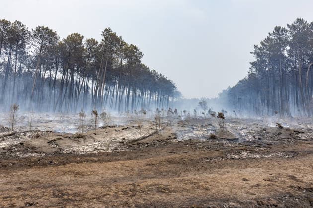 Burned Properties After The Gironde Wildfires - Lege Burned residential properties are seen after the passage of the wildfire, smoke continues to rise from the affected areas as firefighters monitor remaining hotspots in Lège, France, on July 27, 2026. Photo by Margot Le Gonidec ABACAPRESS.COM Lège France  Copyright: xLexGonidecxMargot ABACAx