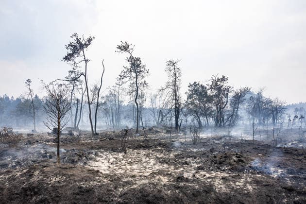 Burned Properties After The Gironde Wildfires - Lege Burned residential properties are seen after the passage of the wildfire, smoke continues to rise from the affected areas as firefighters monitor remaining hotspots in Lège, France, on July 27, 2026. Photo by Margot Le Gonidec ABACAPRESS.COM Lège France  Copyright: xLexGonidecxMargot ABACAx