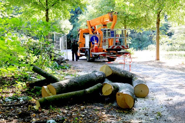 28.07.2026, GER DEU, Deutschland Gedenkstaetten fuer die Opfer des Terroranschlags vom 25.07.2026 beim CSD-Berlin im Tiergarten Berlin Tatort, der Baum wurde gefällt, er war Endstation fuer den Fahrer, Nordphoto *** July 28, 2026, GER DEU, Germany: Memorials for the victims of the terrorist attack on July 25, 2026, during the CSD Berlin in Berlin’s Tiergarten. Scene of the crime; the tree was cut down—it was the driver’s final destination. Nordphoto Copyright: xNordphotox xEnglerx