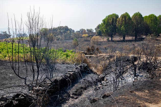 Optimism Following Effective Firefighting Efforts in Ávila Land burned by the wildfire between Cebreros and El Tiemblo, as of July 28, 2026, in Ávila, Castile and León, Spain. Efforts to contain the fire, which originated in Burgohondo and is spreading across the province of Ávila, are generating optimism thanks to highly effective firefighting operations. Efforts have focused primarily on protecting the area around the Casilla Pass, the entrance to the nature reserve, the Tiemblo chestnut grove, and the Mijares Pass. JULY 28, 2026 Ávila, Castile and León Ávila, Castile and León, Spain  Copyright: xRafaelxBastantex 7690800
