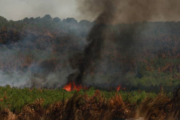 French wildfires burn more than 116,000 hectares this season, minister says LEGE-CAP-FERRET, FRANCE - JULY 28: Smoke rises over a forest as a wildfire spreads in Lege-Cap-Ferret, France on July 28, 2026. A fleet of 67 aircraft, including 12 Canadair water bombers, eight Dash planes, and 16 leased helicopters and aircraft, was deployed to assist firefighting operations in extinguishing the blaze. Mohamad Salaheldin Abdelghani Alsayed Anadolu Lege-cap-ferret France. Editorial use only. Please get in touch for any other usage.  Copyright: x2026xAnadoluxMohamadxSalaheldinxAbdelghanixAlsayedx