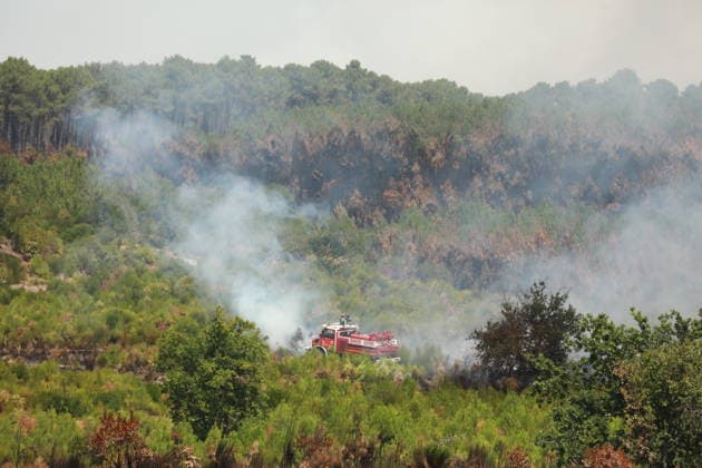 French wildfires burn more than 116,000 hectares this season, minister says LEGE-CAP-FERRET, FRANCE - JULY 28: Smoke rises over a forest as a wildfire spreads in Lege-Cap-Ferret, France on July 28, 2026. A fleet of 67 aircraft, including 12 Canadair water bombers, eight Dash planes, and 16 leased helicopters and aircraft, was deployed to assist firefighting operations in extinguishing the blaze. Mohamad Salaheldin Abdelghani Alsayed Anadolu Lege-cap-ferret France. Editorial use only. Please get in touch for any other usage.  Copyright: x2026xAnadoluxMohamadxSalaheldinxAbdelghanixAlsayedx