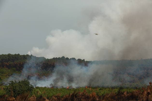 French wildfires burn more than 116,000 hectares this season, minister says LEGE-CAP-FERRET, FRANCE - JULY 28: Smoke rises over a forest as a wildfire spreads in Lege-Cap-Ferret, France on July 28, 2026. A fleet of 67 aircraft, including 12 Canadair water bombers, eight Dash planes, and 16 leased helicopters and aircraft, was deployed to assist firefighting operations in extinguishing the blaze. Mohamad Salaheldin Abdelghani Alsayed Anadolu Lege-cap-ferret France. Editorial use only. Please get in touch for any other usage.  Copyright: x2026xAnadoluxMohamadxSalaheldinxAbdelghanixAlsayedx