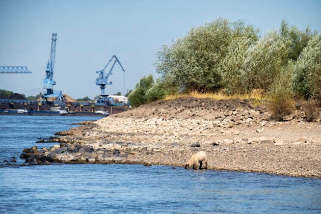 RECORD DATE NOT STATED Niedrigwasser am Rhein in Duisburg Niedrigwasser im Rhein in Duisburg Walsum. Blick auf den den Rheinhafen Orsoy, Kohleverladung. Veröffentlichungen nur für redaktionelle Zwecke. Foto: FotoPrens Duisburg NRW, Nordrhein Westfalen *** Low water levels on the Rhine in Duisburg Low water levels on the Rhine in Duisburg Walsum View of the Orsoy Rhine Port, coal loading Publications for editorial purposes only Photo: FotoPrens Duisburg, NRW, North Rhine-Westphalia
