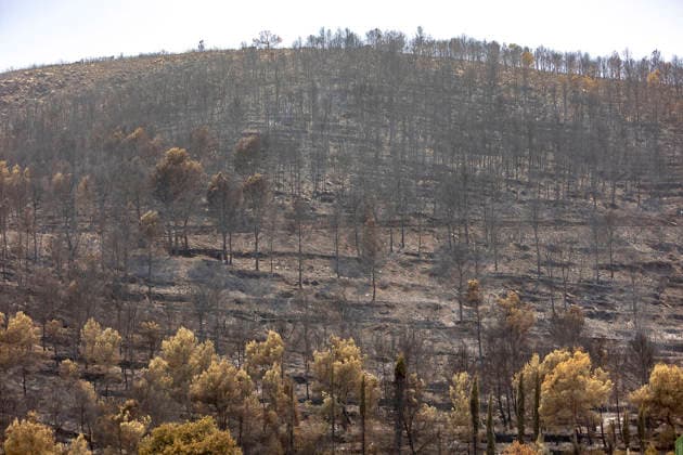 The Vall d’Uixó fire is contained, but smoke remains a concern. Areas scorched by the Vall d’Uixó fire, as of July 28, 2026, in Castellón, Valencian Community, Spain. The fire that broke out in Vall d’Uixó, Castellón, is not spreading significantly in terms of the number of hectares burned or its perimeter, but the smoke and the possibility that a temperature inversion could cause the fire to reignite are causing concern. Therefore, the absence of flames gives a false sense of security, and we must not let our guard down. JULY 28, 2026 Ángel Sá Castellón, Valencian Community, Castellón, Valencian Community, Spain  Copyright: xÃngelxSanchezx 7691342