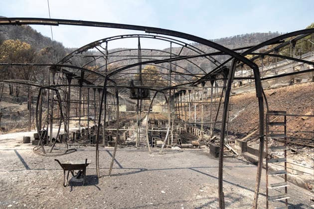 The Vall d’Uixó fire is contained, but smoke remains a concern. Areas scorched by the Vall d’Uixó fire, as of July 28, 2026, in Castellón, Valencian Community, Spain. The fire that broke out in Vall d’Uixó, Castellón, is not spreading significantly in terms of the number of hectares burned or its perimeter, but the smoke and the possibility that a temperature inversion could cause the fire to reignite are causing concern. Therefore, the absence of flames gives a false sense of security, and we must not let our guard down. JULY 28, 2026 Ángel Sá Castellón, Valencian Community, Castellón, Valencian Community, Spain  Copyright: xÃngelxSanchezx 7691347