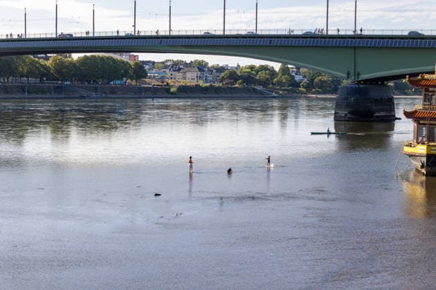Kinder spielen im Niedrigwasser des Rheins vor der Kennedybrücke in Bonn Bonn, 28.07.2026: Kinder spielen im nur wenige Zentimeter tiefen Wasser des Rheins am Ufer in Bonn. Im Hintergrund ist die Kennedybrücke zu sehen. Der außergewöhnlich niedrige Wasserstand hat große Bereiche des Flussbetts freigelegt und macht die Auswirkungen der anhaltenden Trockenheit sichtbar. Das sommerliche Wetter lockt zahlreiche Menschen an das Rheinufer. Bonn Beuel Nordrhein-Westfalen Deutschland *** Children play in the shallow waters of the Rhine in front of the Kennedy Bridge in Bonn Bonn, July 28, 2026 Children play in the water of the Rhine, which is only a few centimeters deep, on the riverbank in Bonn. The Kennedy Bridge can be seen in the backgroun