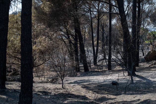 July 28, 2026, Almorox, Toledo, Spain: A massive wildfire originating in the Pinar de Almorox pine forest in Toledo has crossed regional borders into the Community of Madrid, scorching over 1,000 hectares (2,470 acres) and leaving a trail of severe environmental and material destruction. Almorox Spain  - ZUMAd308 20260728_zsp_d308_013 Copyright: xJuanxCarlosxLucasx
