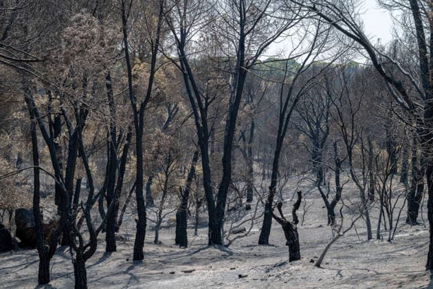 July 28, 2026, Almorox, Toledo, Spain: A massive wildfire originating in the Pinar de Almorox pine forest in Toledo has crossed regional borders into the Community of Madrid, scorching over 1,000 hectares (2,470 acres) and leaving a trail of severe environmental and material destruction. Almorox Spain - ZUMAd308 20260728_zsp_d308_005 Copyright: xJuanxCarlosxLucasx