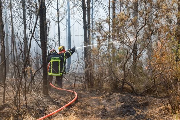 FIRE IN GIRONDE PHOTO: PQR, LE PARISIEN Olivier Corsan Lacanau July 28, 2026 Lacanau, Gironde, France, July 28, 2026 Firefighters, assisted by aerial resources—airplanes, helicopters, Dash and Canadair aircraft, battled flare-ups around the town of Lacanau. Photo: LP Olivier Corsan FIRE IN GIRONDE Fire in southwestern France, July 28, 2026 Local Caption Lacanau, Gironde, France  Copyright: xPHOTOPQR LExPARISIEN MAXPPPxOlivierxCorsanx 20260728LPA6215 20260728LPA6215
