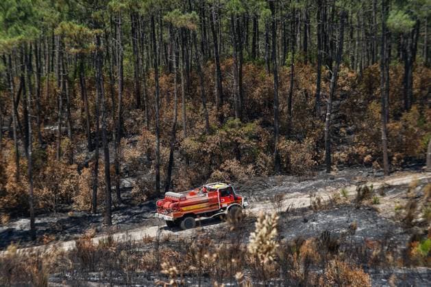 FIRE IN GIRONDE PHOTOPQR LE PARISIEN Olivier Corsan Lège-Cap-Ferret July 28, 2026 Lège-Cap-Ferret, Gironde, France, July 28, 2026 Firefighters, assisted by aerial resources—airplanes, helicopters, Dash, and Canadair, battled the flare-ups of the fires around the town of Lège Cap Ferret. Photo: LP Olivier Corsan FIRE IN GIRONDE Fire in southwestern France, July 28, 2026 Local Caption Lège Cap Ferret, Gironde, France  Copyright: xPHOTOPQR LExPARISIEN MAXPPPxOlivierxCorsanx 20260728LPA6224 20260728LPA6224
