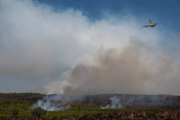 FIRE IN GIRONDE PHOTOPQR LE PARISIEN Olivier Corsan Lège-Cap-Ferret July 28, 2026 Lège-Cap-Ferret, Gironde, France, July 28, 2026 Firefighters, assisted by aerial resources—airplanes, helicopters, Dash, and Canadair, battled the flare-ups of the fires around the town of Lège Cap Ferret. Photo: LP Olivier Corsan FIRE IN GIRONDE Fire in southwestern France, July 28, 2026 Local Caption Lège Cap Ferret, Gironde, France  Copyright: xPHOTOPQR LExPARISIEN MAXPPPxOlivierxCorsanx 20260728LPA6233 20260728LPA6233