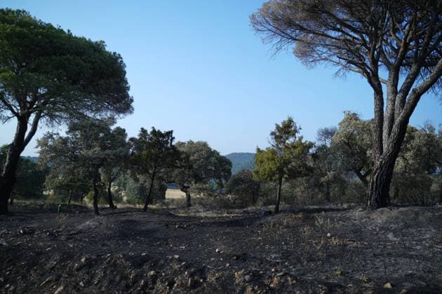 Helicopters, airplanes and firefighters help fight the fires in San Martin de Valdeiglesias, west of Madrid, Spain, Tuesday, July 28, 2026 Cordon Press 