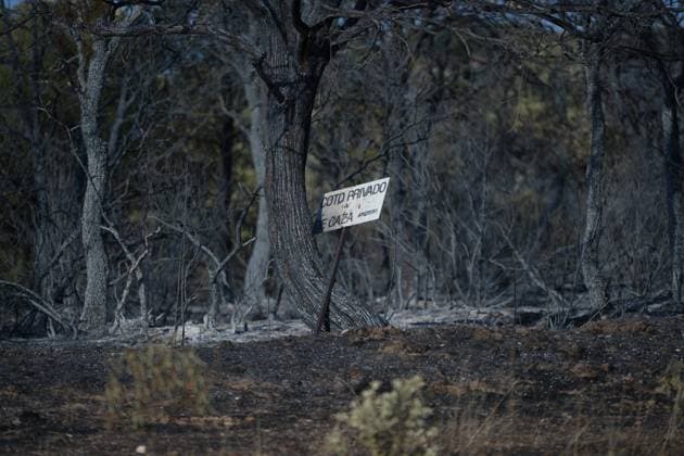 Helicopters, airplanes and firefighters help fight the fires in San Martin de Valdeiglesias, west of Madrid, Spain, Tuesday, July 28, 2026 Cordon Press 