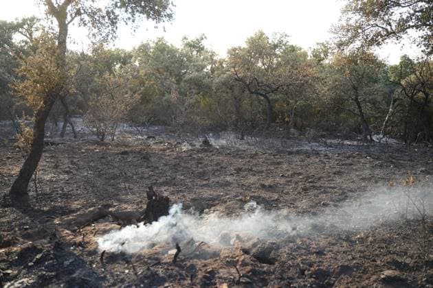 Helicopters, airplanes and firefighters help fight the fires in San Martin de Valdeiglesias, west of Madrid, Spain, Tuesday, July 28, 2026 Cordon Press 