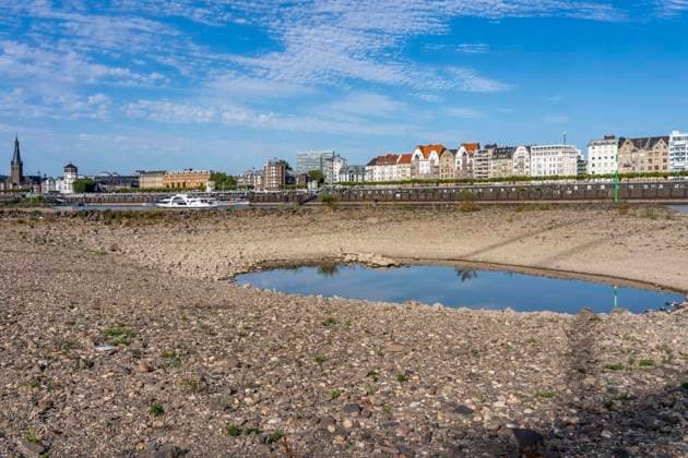 Rhein bei Düsseldorf, extremes Niedrigwasser, Rheinpegel bei 31 cm, Tendenz fallend, nach der langen Dürre fällt das linke Rheinufer, bei Düsseldorf Oberkassel trocken, eine große Sandbank entsteht, Wasserloch, Frachtschiffe können nur noch mit deutlich reduzierter Ladung fahren, Skyline der City, Altstadtufer, NRW, Deutschland Niedrigwasser Rhein *** Rhine near Düsseldorf, extremely low water levels, Rhine water level at 31 cm, trending downward; following the long drought, the left bank of the Rhine near Düsseldorf-Oberkassel has dried up, a large sandbar has formed, a waterhole; cargo ships can now only navigate with significantly reduced cargo; city skyline, Old Town riverfront, North Rhine-Westphalia, Germany; low water levels on