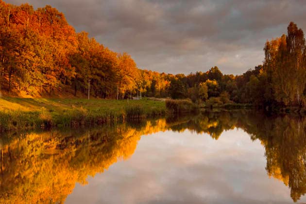 Golden autumn forest reflecting in a calm lake Zgorzelec, Lower Silesian Voivodeship, Poland CR_ZBZB260728-2089245-01 ,model released, Symbolfoto ,property released