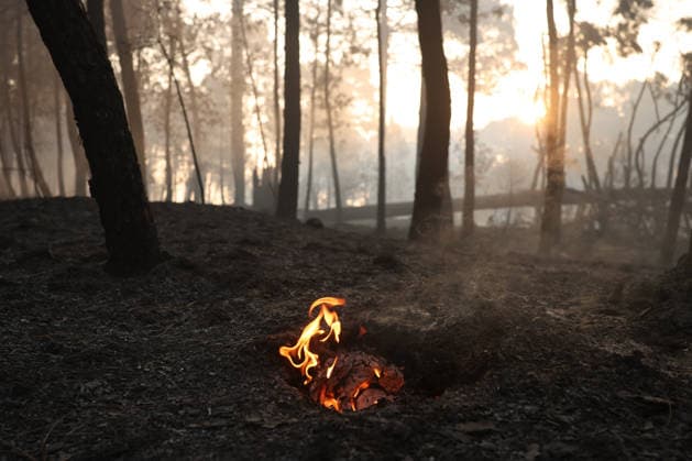 The fire in Burgohondo, Ávila, is not spreading, but it will still take several days to bring it under control A flame from the wildfire on the outskirts of Casavieja, on July 29, 2026, in Ávila, Castile and León, Spain. The fire suppression director for the Castile and León Regional Government’s Infocal operation at the Burgohondo, Ávila, wildfire stated that overnight, emergency crews managed to prevent the fire from spreading, however, he warned that it will take many days of work to bring it under control. JULY 29, 2026 Alejandro Martínez Vé Ávila, Castile and León Ávila, Castile and León, Spain  Copyright: xAlejandroxMartinezxVÃ lezx 7693645