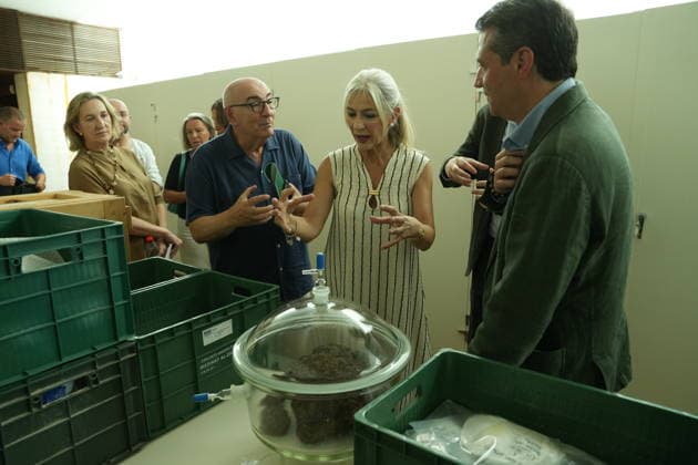 Presentation of the latest projects at the Medina Azahara Archaeological Complex Museum. The Regional Minister of Culture, Historical Heritage, and Sports, Patricia del Pozo (c), visits alongside the mayor of Córdoba, José María Bellido (1d), and the provincial government delegate, Adolfo Molina (2d), the latest work carried out at the Medina Azahara Archaeological Site Museum. July 29, 2026, in Córdoba, Andalusia, Spain. July 29, 2026, Córdoba, Andalusia, Spain. Córdoba, Andalusia, Spain. Spain  Copyright: xGuillermoxMoralesx 7693653