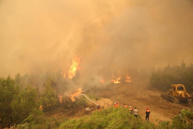 Firefighters battle wildfire in Mugla from air and ground MUGLA, TURKIYE - JULY 29: Firefighters respond from the air and ground to a forest fire in the Seydikemer district of Mugla, Turkiye on July 29, 2026. The fire, which started in an agricultural area in the Bayir neighborhood, spread to the nearby forest driven by strong winds. Fatih Hepokur Anadolu Mugla Turkey. Editorial use only. Please get in touch for any other usage.  Copyright: x2026xAnadoluxFatihxHepokurx