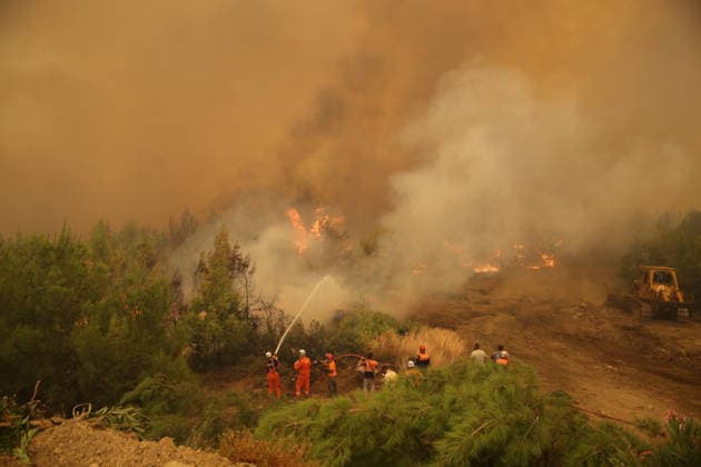 Firefighters battle wildfire in Mugla from air and ground MUGLA, TURKIYE - JULY 29: Firefighters respond from the air and ground to a forest fire in the Seydikemer district of Mugla, Turkiye on July 29, 2026. The fire, which started in an agricultural area in the Bayir neighborhood, spread to the nearby forest driven by strong winds. Fatih Hepokur Anadolu Mugla Turkey. Editorial use only. Please get in touch for any other usage.  Copyright: x2026xAnadoluxFatihxHepokurx