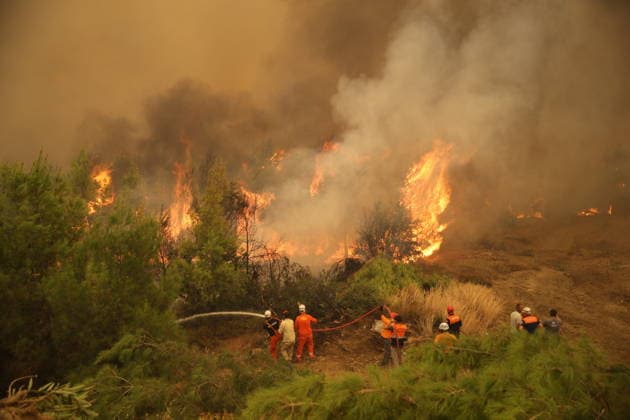 Firefighters battle wildfire in Mugla from air and ground MUGLA, TURKIYE - JULY 29: Firefighters respond from the air and ground to a forest fire in the Seydikemer district of Mugla, Turkiye on July 29, 2026. The fire, which started in an agricultural area in the Bayir neighborhood, spread to the nearby forest driven by strong winds. Fatih Hepokur Anadolu Mugla Turkey. Editorial use only. Please get in touch for any other usage.  Copyright: x2026xAnadoluxFatihxHepokurx