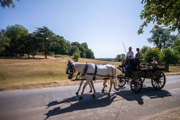 July 29, 2026, London, UK: London, UK. Carriage drivers cool off in the hot sunshine in a parched Richmond Park southwest London as the 4th heatwave hits London and the South East today. Weather experts have issued further high heat weather warnings for the South East with highs of over 35c expected as the heatwave conditions continue. However, cooler temperatures are expected by the weekend. London UK  - ZUMAl94_ 20260729_zaf_l94_010 Copyright: xAlexxLentatix