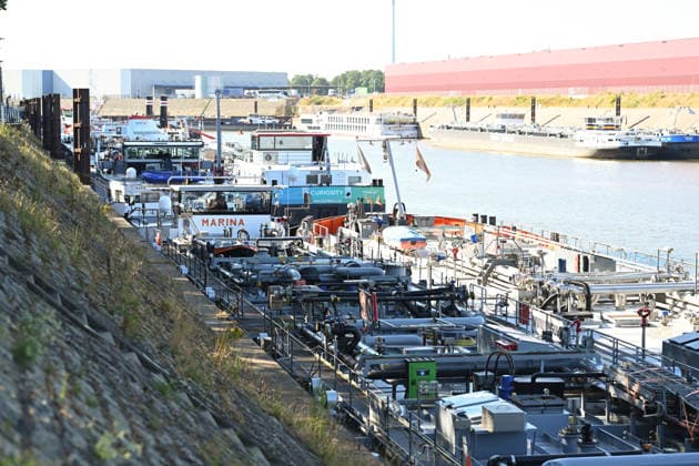 Niedrigwasser gefährdet die Binnenschifffahrt auf dem Rhein. Zahlreiche Schiffe liegen bedingt durch das Niedrigwasser in Duisburg-Ruhrort. Der Rhein steht kurz davor, seinen niedrigsten bekannten Wasserstand zu unterschreiten. Nach der Vorhersage der Wasserstraßen- und Schifffahrtsverwaltung des Bundes (WSV) fällt der Pegel in Duisburg-Ruhrort am Freitag auf 152 Zentimeter, dies wäre ein neuer Rekord, bislang lag die Marke bei 153 Zentimeter. Duisburg Nordrhein-Westfalen Deutschland *** Low water levels threaten inland waterway shipping on the Rhine. Numerous ships are stranded in Duisburg-Ruhrort due to the low water levels. The Rhine is on the verge of fall below its lowest recorded water level. According to a forecast by the Federa Copyright: xdiebildwerftx