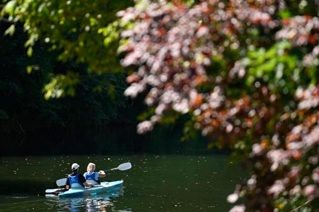 Drought alert in Wallonia (Lesse) ANSEREMME, BELGIUM - JULY 29 : Drought alert in Wallonia : low level of the river Lesse on July 29, 2026 in Anseremme, Belgium, 29 07 2026 Anseremme Belgium  Copyright: xDidierxLebrunx