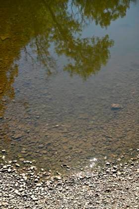 Drought alert in Wallonia (Lesse) HOUYET, BELGIUM - JULY 29 : Drought alert in Wallonia : low level of the river Lesse on July 29, 2026 in Houyet, Belgium, 29 07 2026 Houyet Belgium  Copyright: xDidierxLebrunx