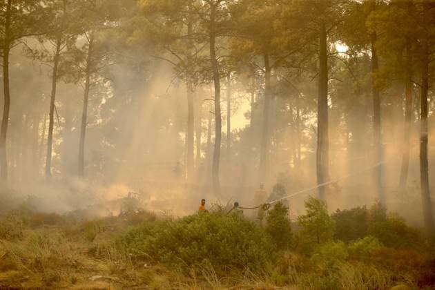 Firefighting efforts continue in Turkiye s Mugla MUGLA, TURKIYE - JULY 29: Firefighters battle the wildfire with ground and aerial operations in Seydikemer district of Mugla, Turkiye on July 29, 2026. Ali Riza Akkir Anadolu Mugla Turkey. Editorial use only. Please get in touch for any other usage.  Copyright: x2026xAnadoluxAlixRizaxAkkirx