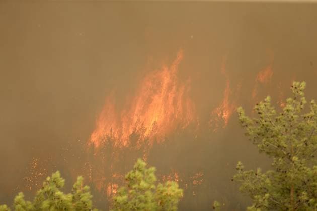 Firefighting efforts continue in Turkiye s Mugla MUGLA, TURKIYE - JULY 29: Firefighters battle the wildfire with ground and aerial operations in Seydikemer district of Mugla, Turkiye on July 29, 2026. Ali Riza Akkir Anadolu Mugla Turkey. Editorial use only. Please get in touch for any other usage.  Copyright: x2026xAnadoluxAlixRizaxAkkirx