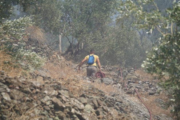 Forest fire in the Greek island of Lesbos LESBOS, GREECE - JULY 29: Teams continue their efforts to extinguish the fire that broke out in the forest area from air and land in the Plomari town on Lesbos island, Greece on July 29, 2026. Panagiotis Balaskas Anadolu Lesbos Greece. Editorial use only. Please get in touch for any other usage.  Copyright: x2026xAnadoluxPanagiotisxBalaskasx