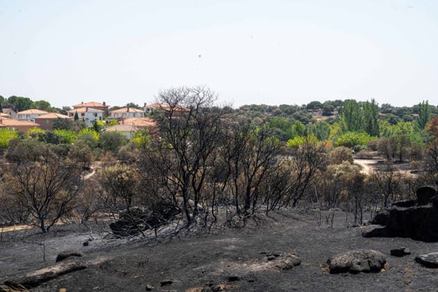 July 29, 2026, Madrid, Madrid, Spain: The devastating Sierra Oeste wildfire has scorched around 34,000 hectares (approx. 84,000 acres) in the Community of Madrid, severely hitting the municipalities of ChapineroÂ­a and Navas del Rey. Madrid Spain - ZUMAd308 20260729_zsp_d308_002 Copyright: xJuanxCarlosxLucasx