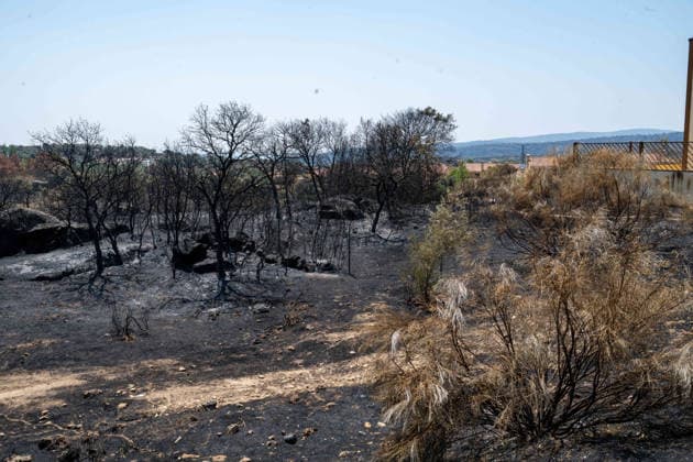 July 29, 2026, Madrid, Madrid, Spain: The devastating Sierra Oeste wildfire has scorched around 34,000 hectares (approx. 84,000 acres) in the Community of Madrid, severely hitting the municipalities of ChapineroÂ­a and Navas del Rey. Madrid Spain - ZUMAd308 20260729_zsp_d308_003 Copyright: xJuanxCarlosxLucasx