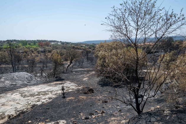 July 29, 2026, Madrid, Madrid, Spain: The devastating Sierra Oeste wildfire has scorched around 34,000 hectares (approx. 84,000 acres) in the Community of Madrid, severely hitting the municipalities of ChapineroÂ­a and Navas del Rey. Madrid Spain - ZUMAd308 20260729_zsp_d308_006 Copyright: xJuanxCarlosxLucasx