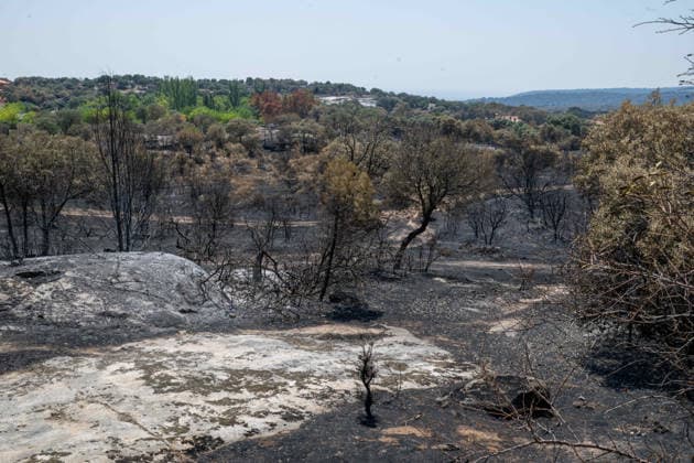 July 29, 2026, Madrid, Madrid, Spain: The devastating Sierra Oeste wildfire has scorched around 34,000 hectares (approx. 84,000 acres) in the Community of Madrid, severely hitting the municipalities of ChapineroÂ­a and Navas del Rey. Madrid Spain  - ZUMAd308 20260729_zsp_d308_005 Copyright: xJuanxCarlosxLucasx