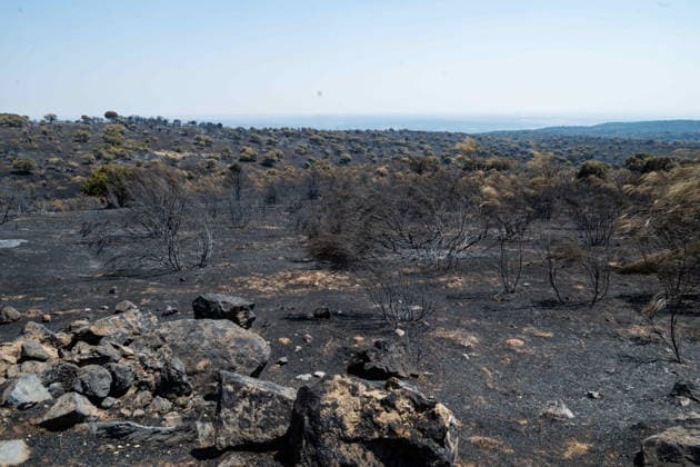 July 29, 2026, Madrid, Madrid, Spain: The devastating Sierra Oeste wildfire has scorched around 34,000 hectares (approx. 84,000 acres) in the Community of Madrid, severely hitting the municipalities of ChapineroÂ­a and Navas del Rey. Madrid Spain - ZUMAd308 20260729_zsp_d308_027 Copyright: xJuanxCarlosxLucasx
