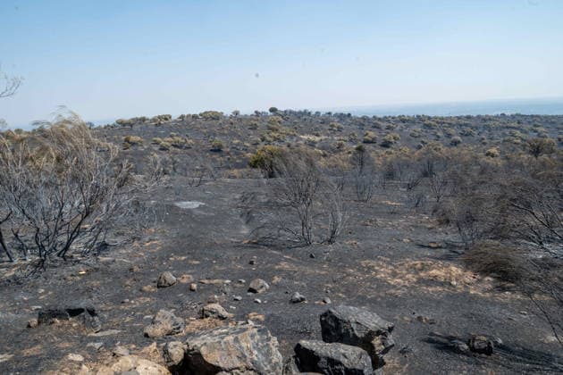 July 29, 2026, Madrid, Madrid, Spain: The devastating Sierra Oeste wildfire has scorched around 34,000 hectares (approx. 84,000 acres) in the Community of Madrid, severely hitting the municipalities of ChapineroÂ­a and Navas del Rey. Madrid Spain - ZUMAd308 20260729_zsp_d308_029 Copyright: xJuanxCarlosxLucasx