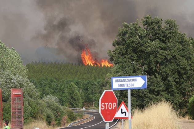 Five planes, three helicopters, and seven Miteco brigades are working to combat four wildfires in Castile and León. View of the fire, July 29, 2026, in San Cipriano, León, Castile and León, Spain. Five planes, three helicopters, and seven firefighting crews from the Ministry for Economic Transition and the Democratic Challenge (Miteco) are working to combat four active wildfires in Castile and León. July 29, 2026. San Cipriano, León, Castile and León San Cipriano, León, Castile and León, Spain  Copyright: xFernandoxOterox 7694364