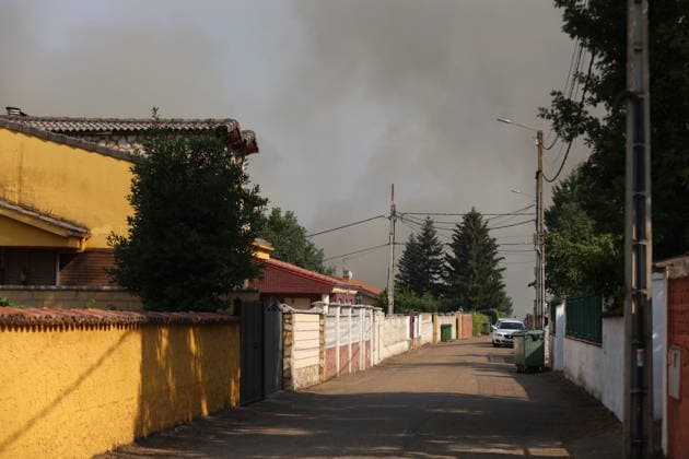 Five planes, three helicopters, and seven Miteco brigades are working to combat four wildfires in Castile and León. View of the fire, July 29, 2026, in San Cipriano, León, Castile and León, Spain. Five planes, three helicopters, and seven firefighting crews from the Ministry for Economic Transition and the Democratic Challenge (Miteco) are working to combat four active wildfires in Castile and León. July 29, 2026. San Cipriano, León, Castile and León San Cipriano, León, Castile and León, Spain  Copyright: xFernandoxOterox 7694365