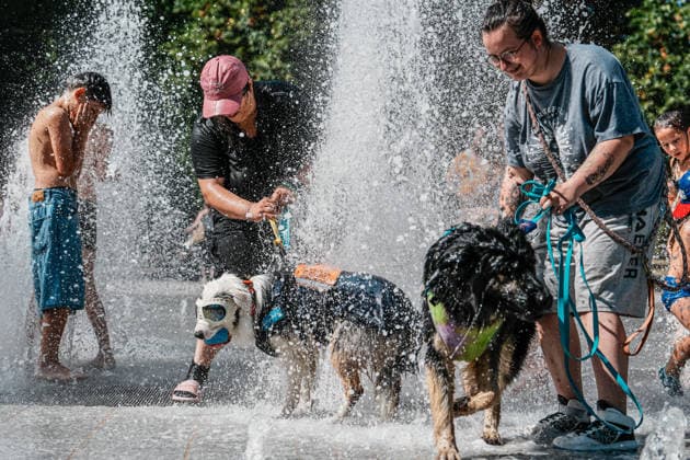 Heatwave in eastern France drives residents and pets to seek relief in public fountains NANCY, FRANCE - JULY 29: Residents and their pets cool off in public fountains at Parc de la Pepiniere as a summer heatwave brings soaring temperatures in Nancy, eastern France, on July 29, 2026. Children play in water jets while dogs wade through the fountains to escape the heat, as visitors gather in shaded areas of the park during one of the hottest days of the season. The French national weather service has warned of persistent high temperatures affecting several regions across the country. Muhammed Said Tako Anadolu Nancy France. Editorial use only. Please get in touch for any other usage.  Copyright: x2026xAnadoluxMuhammedxSaidxTakox