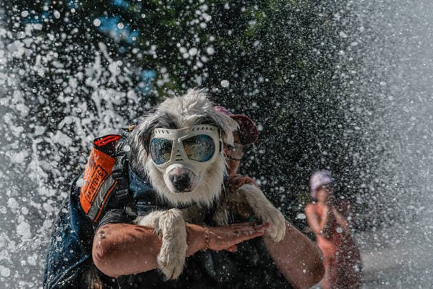 Heatwave in eastern France drives residents and pets to seek relief in public fountains NANCY, FRANCE - JULY 29: Residents and their pets cool off in public fountains at Parc de la Pepiniere as a summer heatwave brings soaring temperatures in Nancy, eastern France, on July 29, 2026. Children play in water jets while dogs wade through the fountains to escape the heat, as visitors gather in shaded areas of the park during one of the hottest days of the season. The French national weather service has warned of persistent high temperatures affecting several regions across the country. Muhammed Said Tako Anadolu Nancy France. Editorial use only. Please get in touch for any other usage.  Copyright: x2026xAnadoluxMuhammedxSaidxTakox