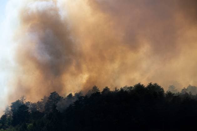 Forest Fire in Marsannay-la-Côte, July 29, 2026 PHOTOPQR LE BIEN PUBLIC Emma BUONCRISTIANI Marsannay-la-Côte July 29, 2026 Fire, forest fire in Marsannay-la-Côte, also near Couchey, on July 29, 2026 July 29, 2026 Marsannay-la-Côte, Côte-d’Or department, France Fire, forest fire in Marsannay-la-Côte Marsannay-la-Côte, Côte-d’Or, Burgundy, France  Copyright: xPHOTOPQR LExBIENxPUBLIC MAXPPPxEmmaxBUONCRISTIANIx 20260729BPU8003 20260729BPU8003