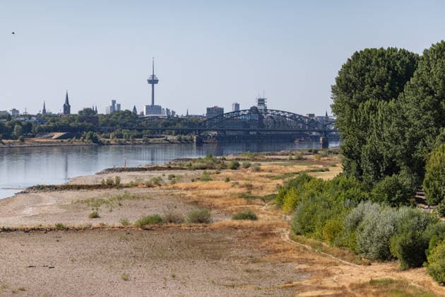 Niedrigwasser am Rhein bei Köln-Rodenkirchen Anhaltende Hitzewelle in NRW: Der Pegel Köln liegt bei 70 cm nur noch 1 cm über dem historischen Tiefstwert von 69 cm vom 23. Oktober 2018. Blick von der Rheinbrücke Köln-Rodenkirchen (Rodenkirchener Brücke, A4) auf das freiliegende Flussbett des Rheins Richtung Köln mit dem Fernsehturm Colonius, den drei Kranhäusern und dem Kölner Dom Köln Nordrhein-Westfalen Deutschland *** Low water levels on the Rhine near Cologne-Rodenkirchen; ongoing heat wave in North Rhine-Westphalia. The water level at Cologne is 70 cm—just 1 cm above the all-time low of 69 cm recorded on October 23, 2018. View from the Rhine Bridge in Cologne-Rodenkirchen; Rodenkirchen Bridge, A4, looking toward Cologne a Copyright: xMarcxJohnx