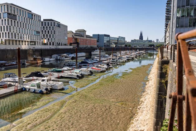 Niedrigwasser im Yachthafen des Kölner Rheinauhafens Anhaltende Hitzewelle und Trockenheit in NRW: Im Yachthafen des Kölner Rheinauhafens liegt der Grund teilweise frei, mehrere Boote liegen auf. Der Pegel Köln liegt bei 70 cm nur 1 cm über dem historischen Tiefstwert von 69 cm vom 23. Oktober 2018. Köln Nordrhein-Westfalen Deutschland *** Low Water Levels at Cologne’s Rheinauhafen Marina: Ongoing Heat Wave and Drought in North Rhine-Westphalia. At Cologne’s Rheinauhafen Marina, the riverbed is partially exposed, and several boats are aground. The water level at Cologne stands at 70 cm, just 1 cm above the all-time low of 69 cm recorded on October 23, 2018. Cologne, North Rhine-Westphalia, Germany Copyright: xMarcxJohnx
