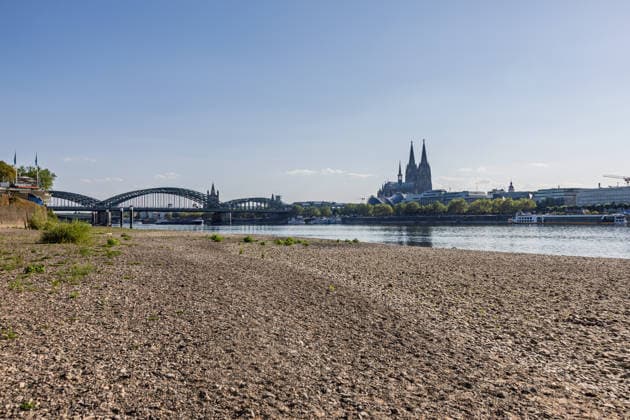 Niedrigwasser am Deutzer Rheinufer bei Köln Anhaltende Hitzewelle in NRW: Der Pegel Köln liegt bei 70 cm nur 1 cm über dem historischen Tiefstwert von 69 cm vom 23. Oktober 2018. Blick vom Deutzer Rheinufer auf Höhe Tanzbrunnen auf das freiliegende Flussbett, im Hintergrund der Kölner Dom und die Hohenzollernbrücke. Köln Nordrhein-Westfalen Deutschland *** Low Water Levels on the Deutz Bank of the Rhine Near Cologne; Ongoing Heat Wave in North Rhine-Westphalia; The water level at Cologne is 70 cm—just 1 cm above the all-time low of 69 cm recorded on October 23, 2018; View from the Deutz bank of the Rhine near the Tanzbrunnen of the exposed riverbed, with Cologne Cathedral and the Hohenzollern Bridge in the background. Cologne, N Copyright: xMarcxJohnx