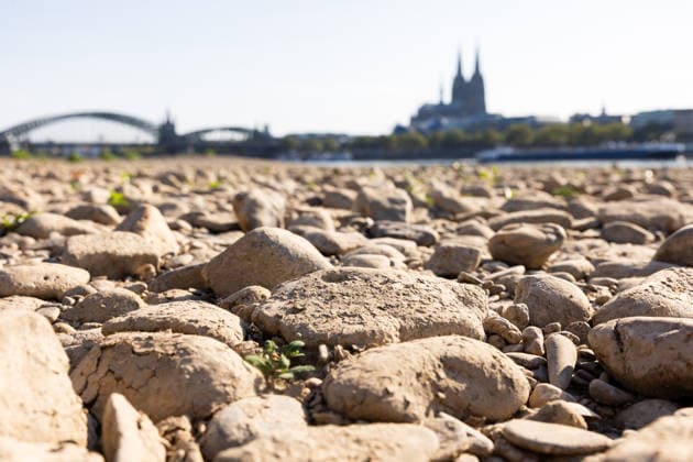 Niedrigwasser am Deutzer Rheinufer bei Köln Anhaltende Hitzewelle in NRW: Der Pegel Köln liegt bei 70 cm nur 1 cm über dem historischen Tiefstwert von 69 cm vom 23. Oktober 2018. Blick vom Deutzer Rheinufer auf Höhe Tanzbrunnen auf das freiliegende Flussbett, im Hintergrund der Kölner Dom und die Hohenzollernbrücke. Köln Nordrhein-Westfalen Deutschland *** Low Water Levels on the Deutz Bank of the Rhine Near Cologne; Ongoing Heat Wave in North Rhine-Westphalia; The water level at Cologne is 70 cm, just 1 cm above the all-time low of 69 cm recorded on October 23, 2018; View from the Deutz bank of the Rhine near Tanzbrunnen of the exposed riverbed, with Cologne Cathedral and the Hohenzollern Bridge in the background. Cologne, Nort Copyright: xMarcxJohnx